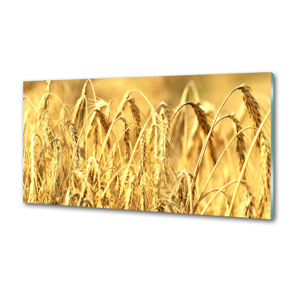 Glazen achterwand keuken Graan