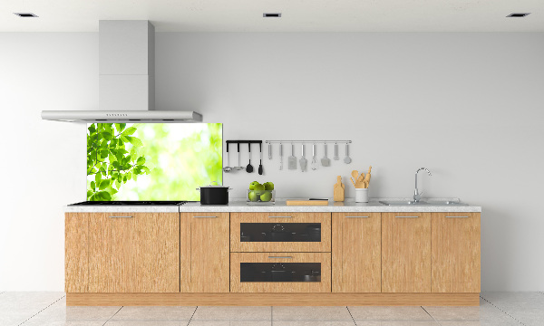 Spatplaat keuken Bladeren