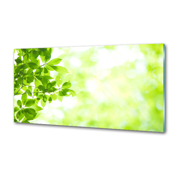 Spatplaat keuken Bladeren