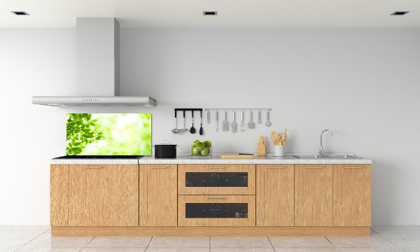 Spatplaat keuken Bladeren