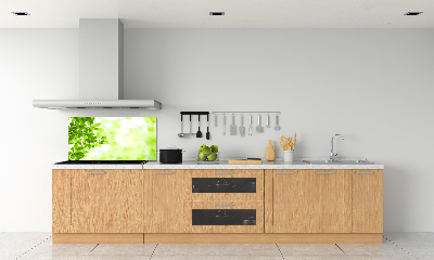 Spatplaat keuken Bladeren