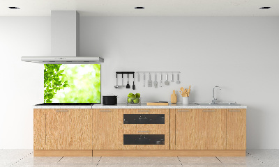 Spatplaat keuken Bladeren