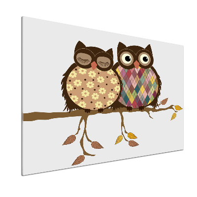 Spatplaat keuken Twee uilen op een tak