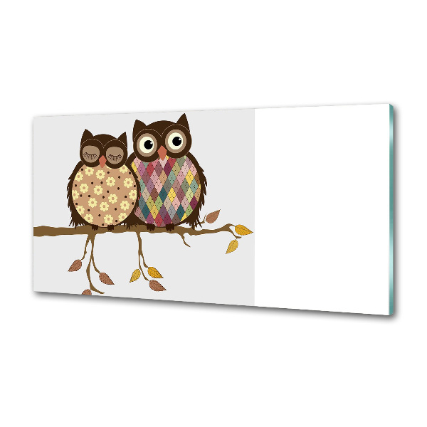 Spatplaat keuken Twee uilen op een tak