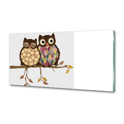 Spatplaat keuken Twee uilen op een tak