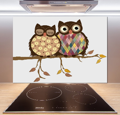 Spatplaat keuken Twee uilen op een tak