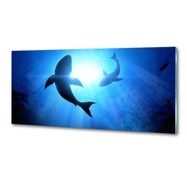 Keuken achterwand Twee haaien