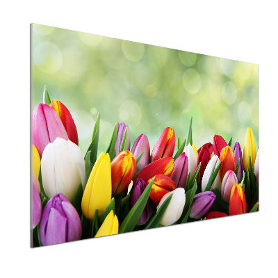 Glazen achterwand keuken Kleurrijke tulpen