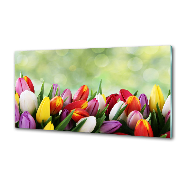 Glazen achterwand keuken Kleurrijke tulpen