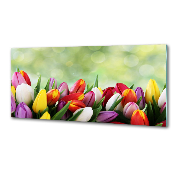 Glazen achterwand keuken Kleurrijke tulpen