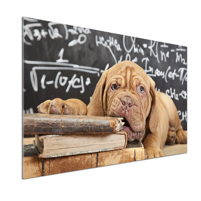 Glazen achterwand keuken De hond bijt in het boek.