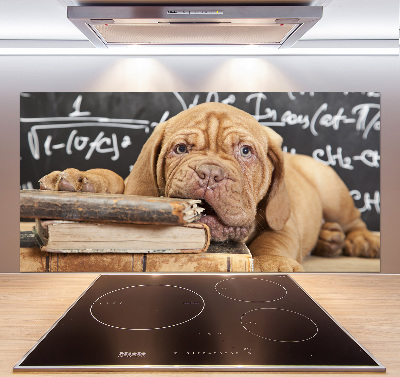 Glazen achterwand keuken De hond bijt in het boek.