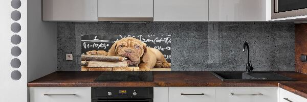 Glazen achterwand keuken De hond bijt in het boek.