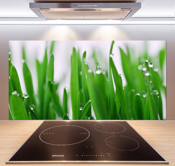 Achterwand keuken grassprieten