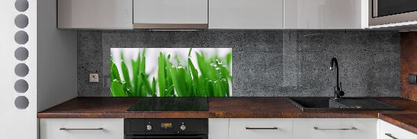 Achterwand keuken grassprieten