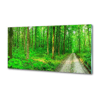 Spatscherm keuken Bomen in het bos