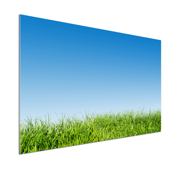 Spatplaat keuken Gras