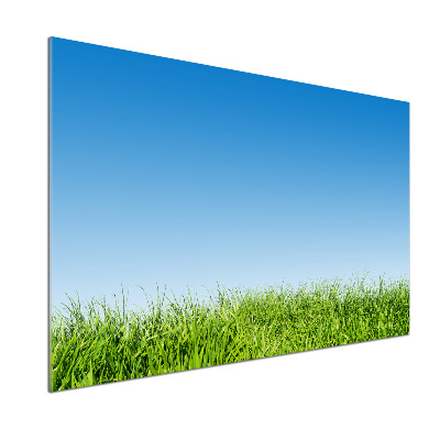 Spatplaat keuken Gras