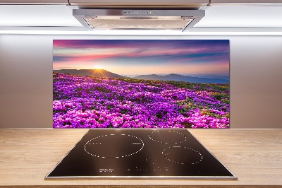 Keuken achterwand Bloemen in de bergen