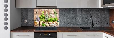 Glazen achterwand keuken Kruiden aan een touwtje