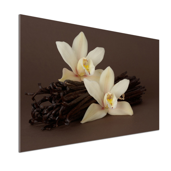 Glazen achterwand keuken Vanillepeulen