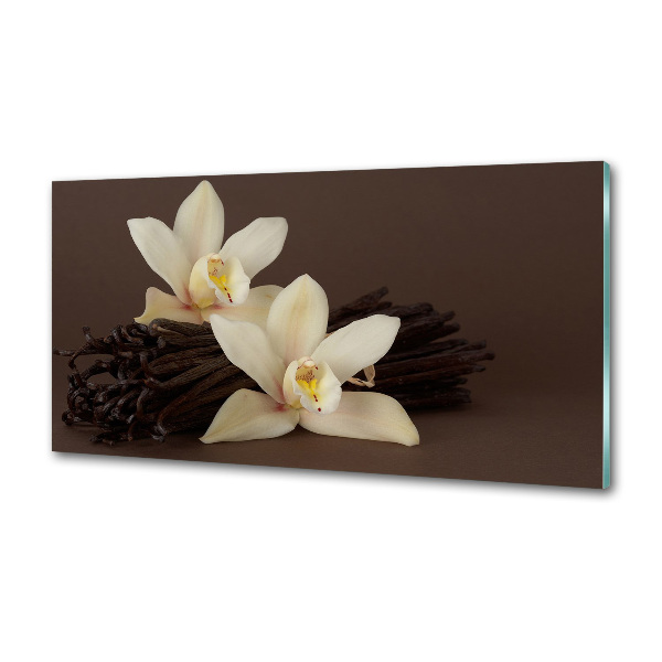 Glazen achterwand keuken Vanillepeulen