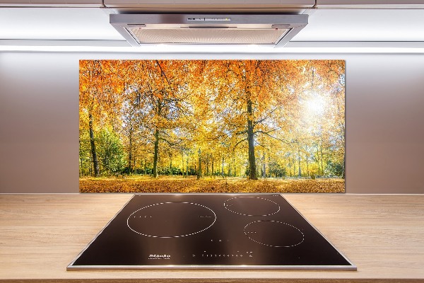 Achterwand keuken Bos in de herfst