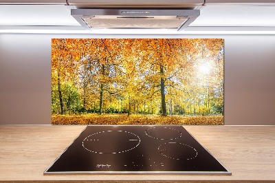 Achterwand keuken Bos in de herfst