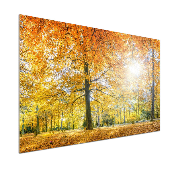 Achterwand keuken Bos in de herfst