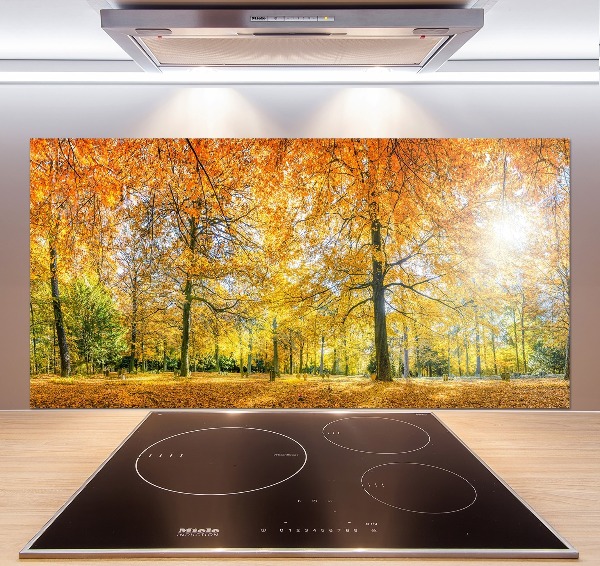 Achterwand keuken Bos in de herfst