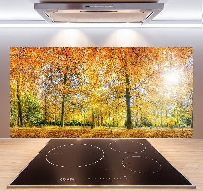 Achterwand keuken Bos in de herfst