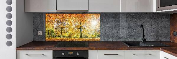 Achterwand keuken Bos in de herfst