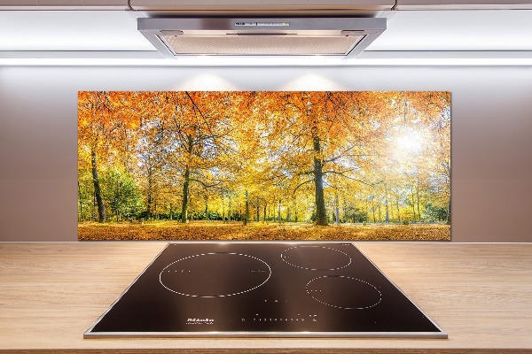 Achterwand keuken Bos in de herfst