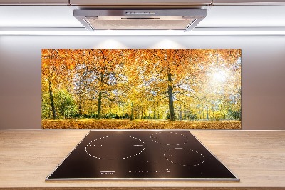 Achterwand keuken Bos in de herfst