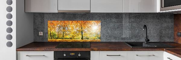 Achterwand keuken Bos in de herfst