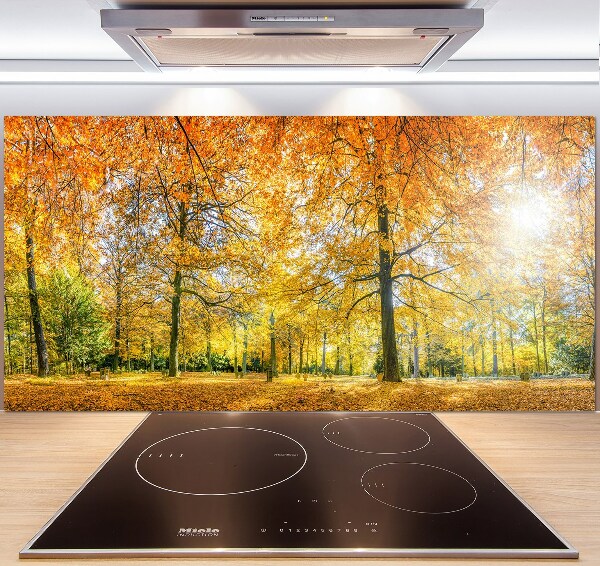 Achterwand keuken Bos in de herfst