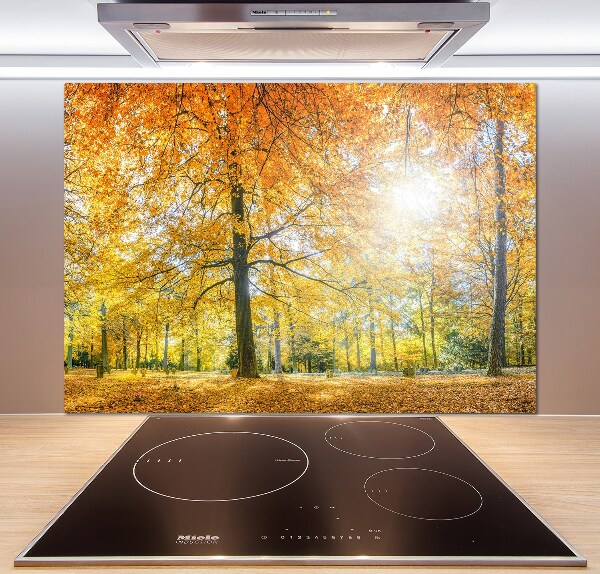Achterwand keuken Bos in de herfst
