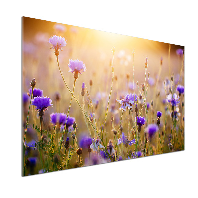 Achterwand keuken Wilde bloemen