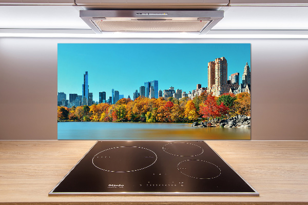 Spatplaat keuken New York in de herfst