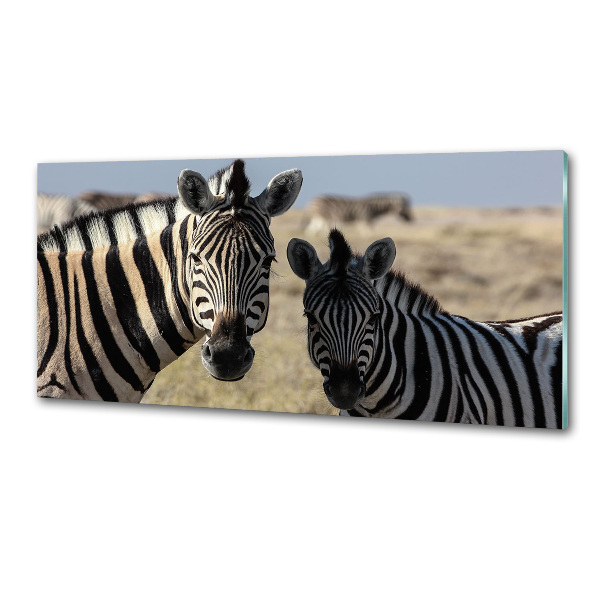 Spatplaat keuken Twee zebra's