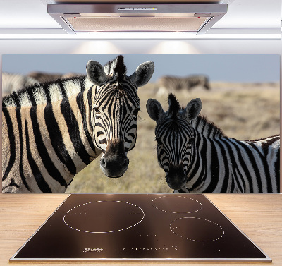 Spatplaat keuken Twee zebra's
