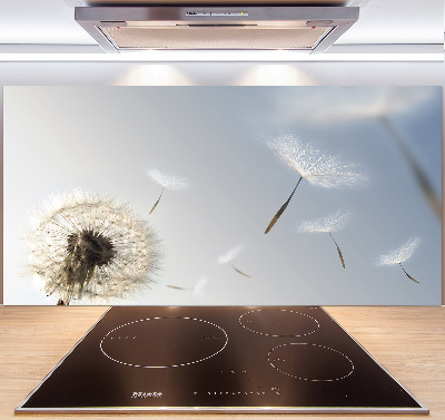 Spatplaat keuken Paardebloem