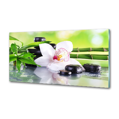 Keuken achterwand Orchidee