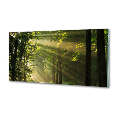 Keuken achterwand Bos in de zon