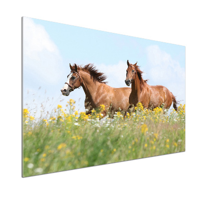 Keuken achterwand Twee paarden in galop