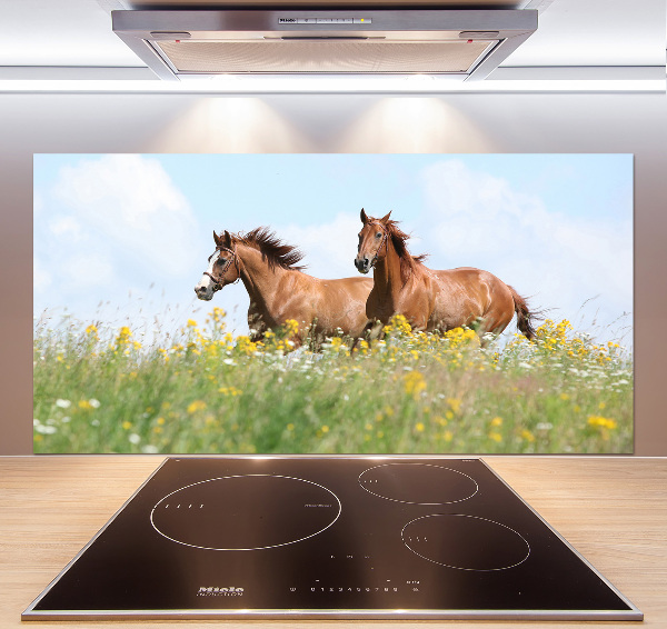 Keuken achterwand Twee paarden in galop