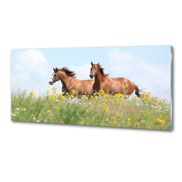 Keuken achterwand Twee paarden in galop