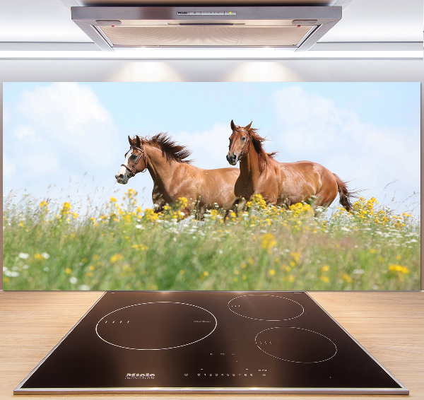 Keuken achterwand Twee paarden in galop