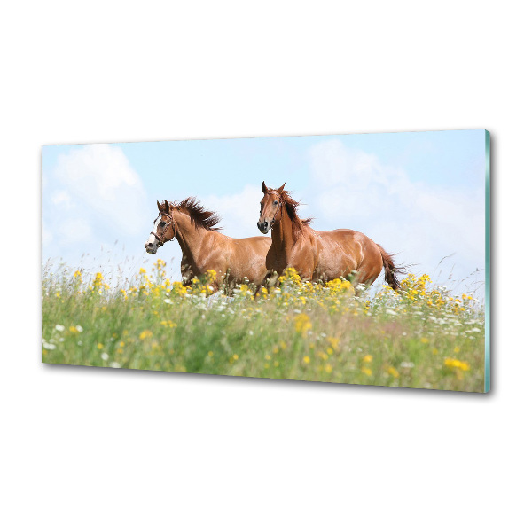 Keuken achterwand Twee paarden in galop