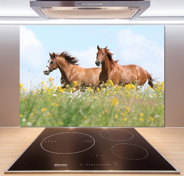 Keuken achterwand Twee paarden in galop
